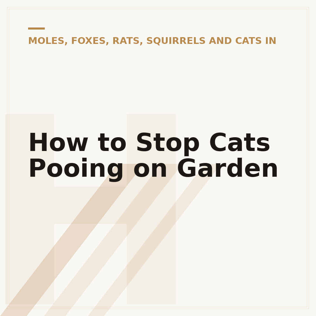 How to Stop Cats Pooing on Garden