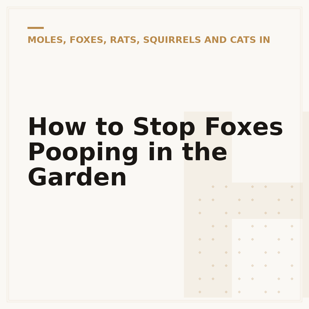 How to Stop Foxes Pooping in the Garden