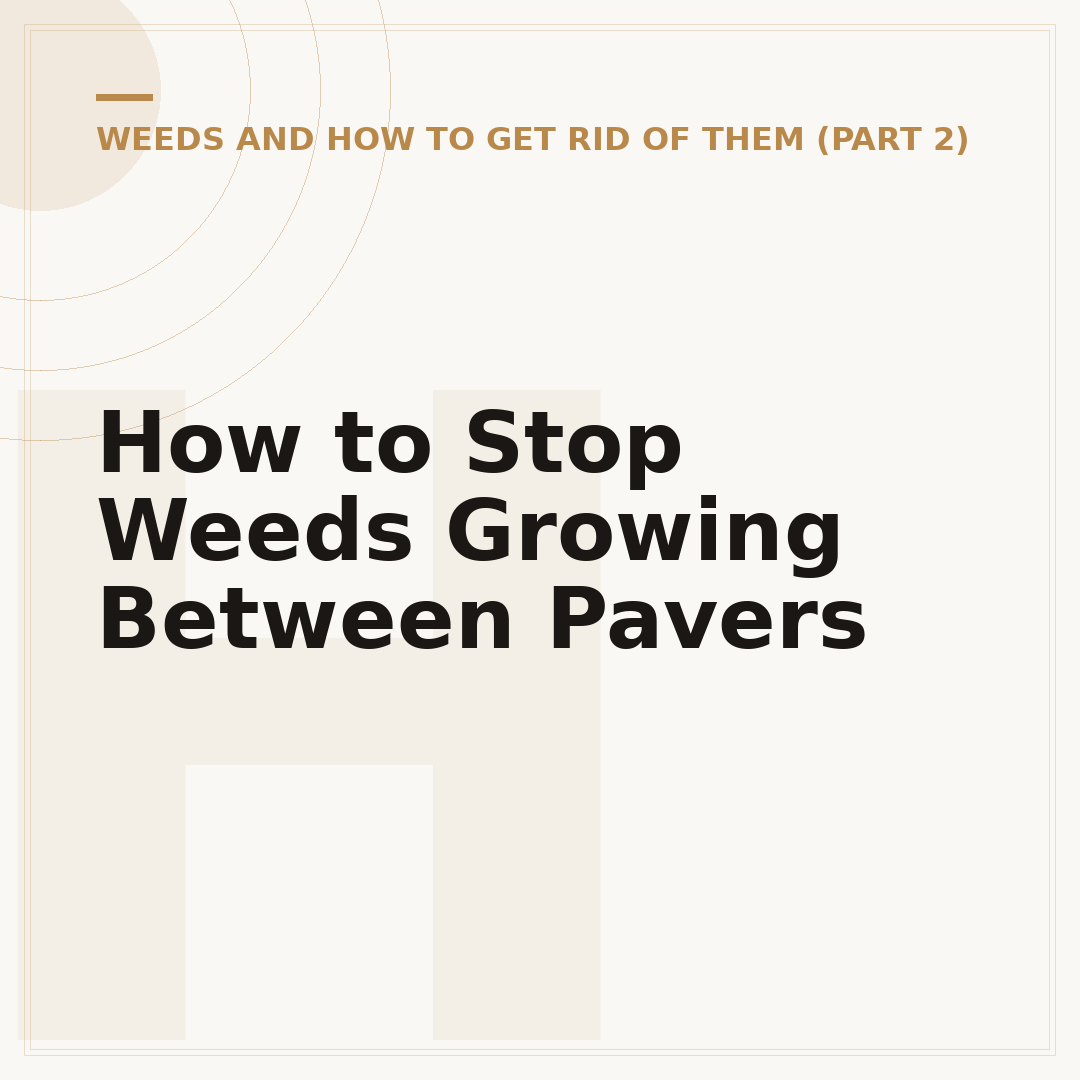 How to Stop Weeds Growing Between Pavers