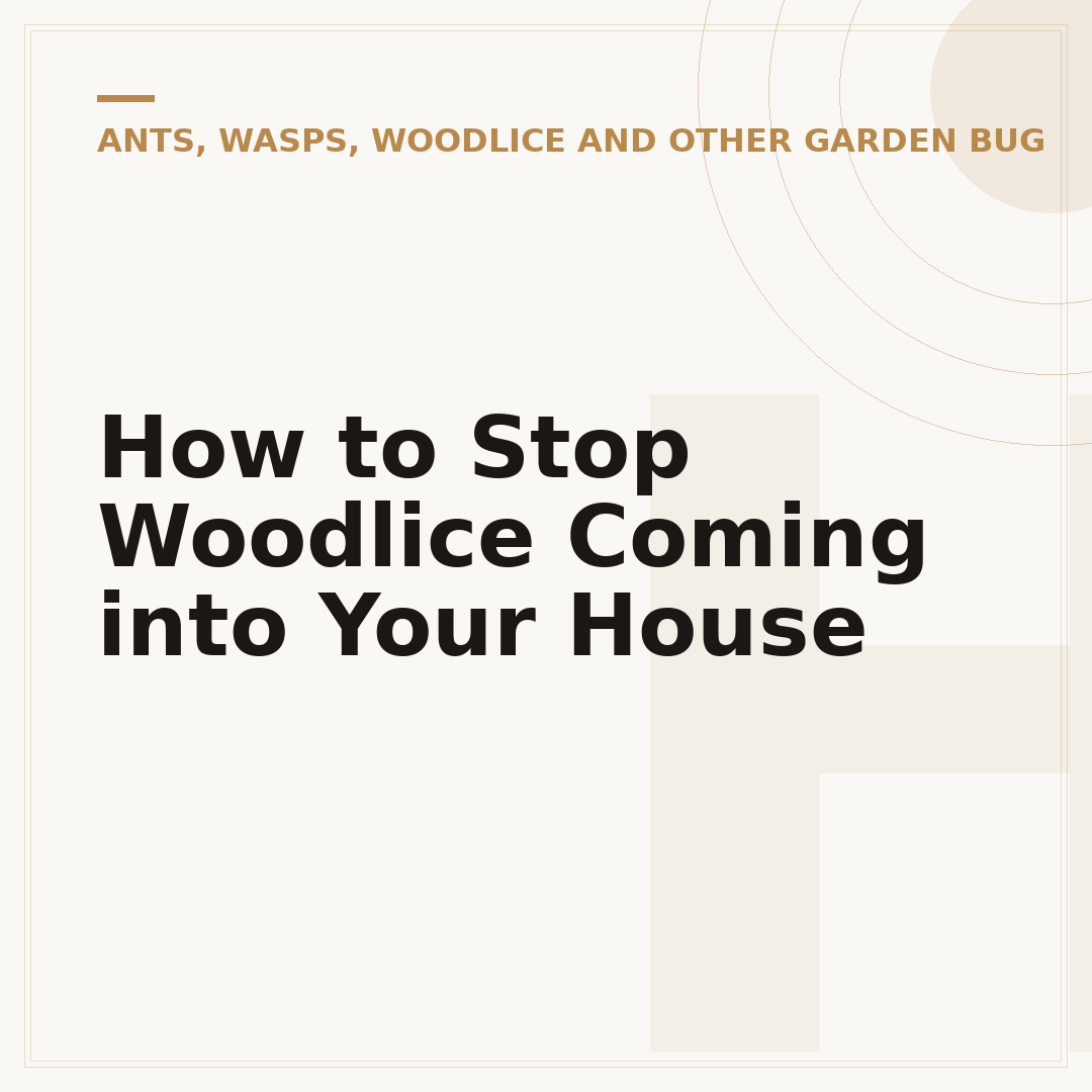 How to Stop Woodlice Coming into Your House