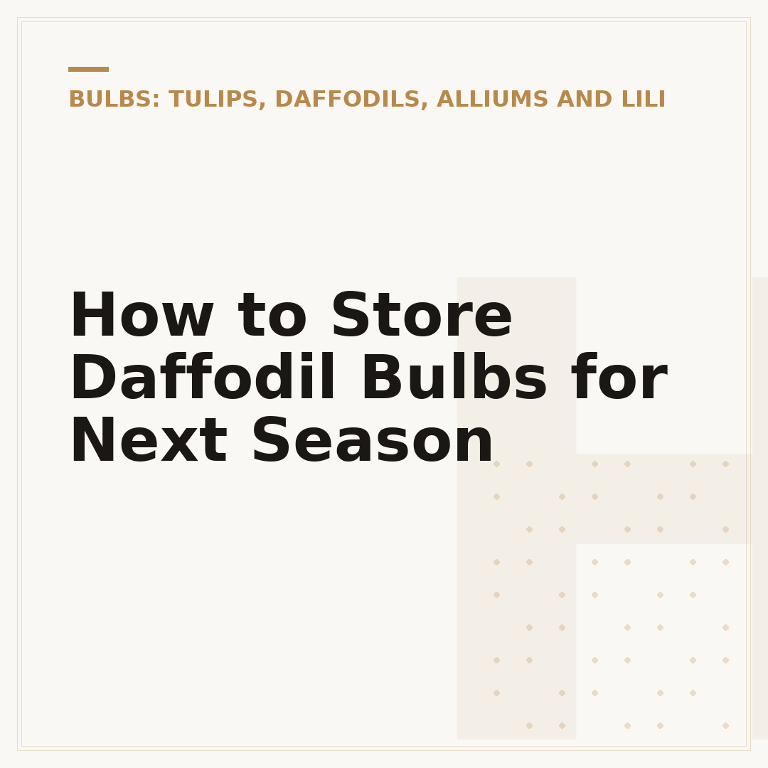 How to Store Daffodil Bulbs for Next Season