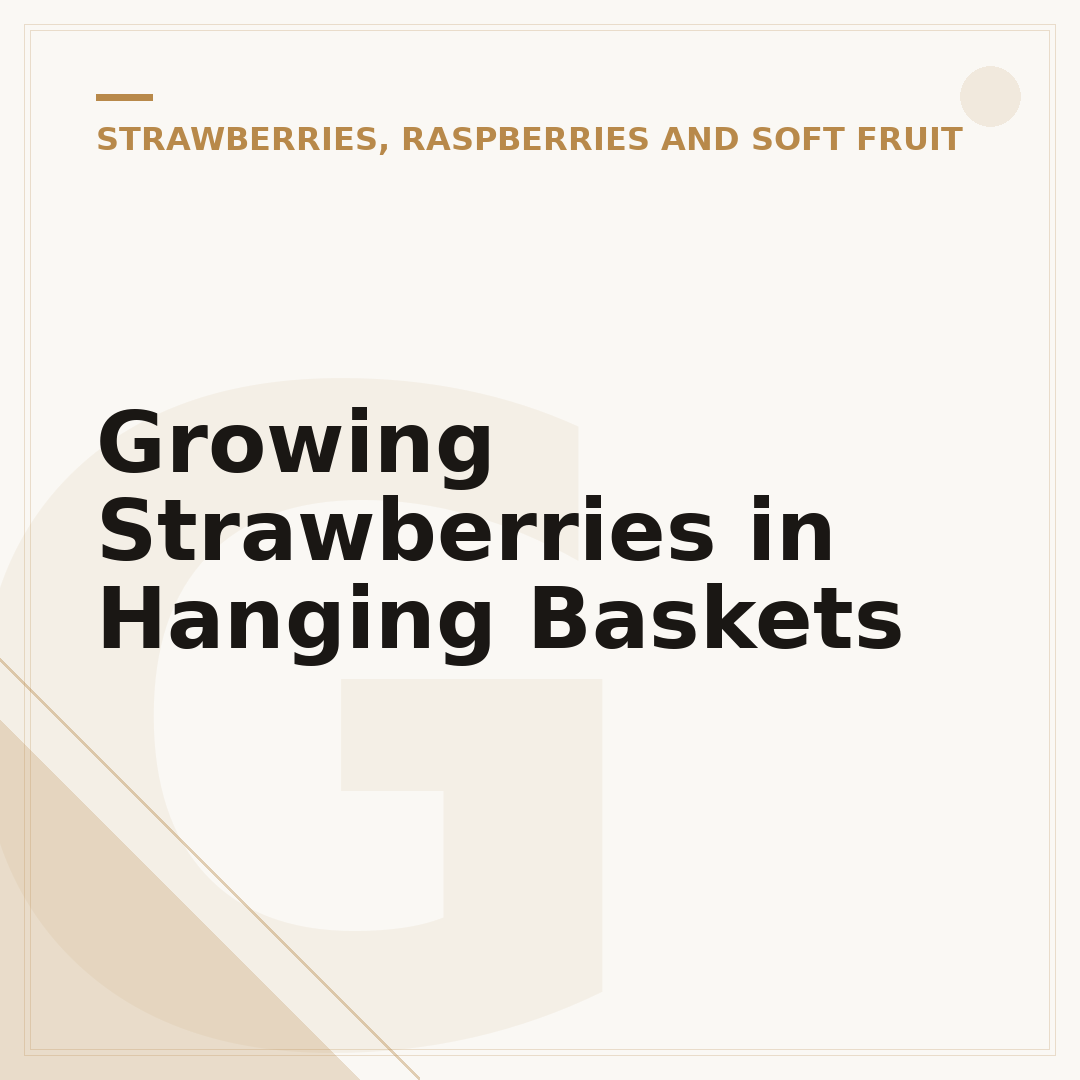 Growing Strawberries in Hanging Baskets