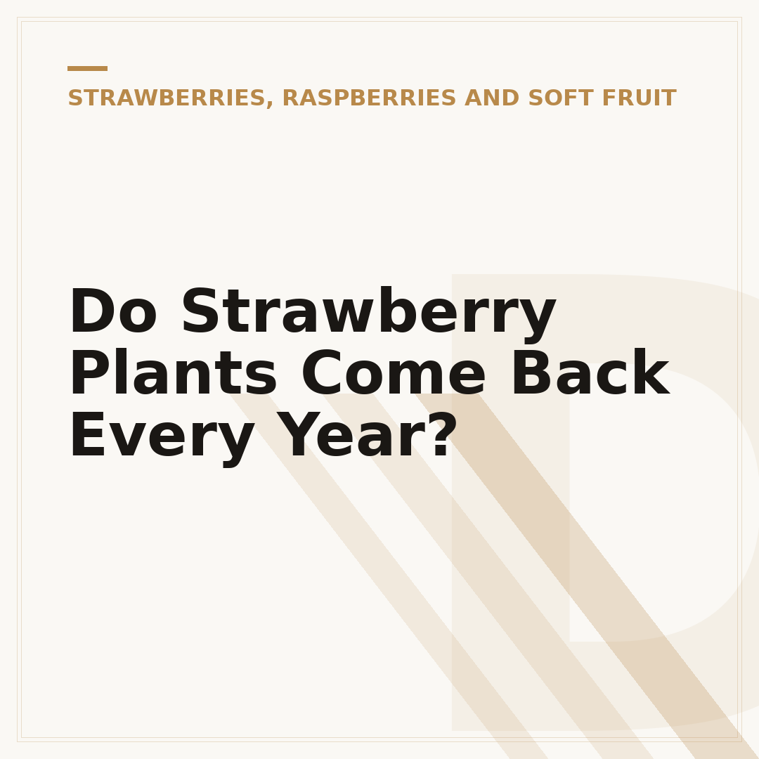 Do Strawberry Plants Come Back Every Year?