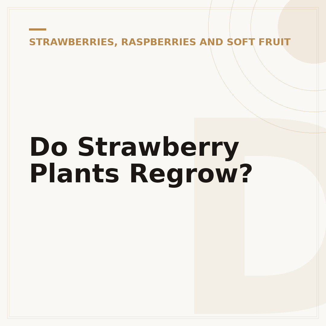 Do Strawberry Plants Regrow?