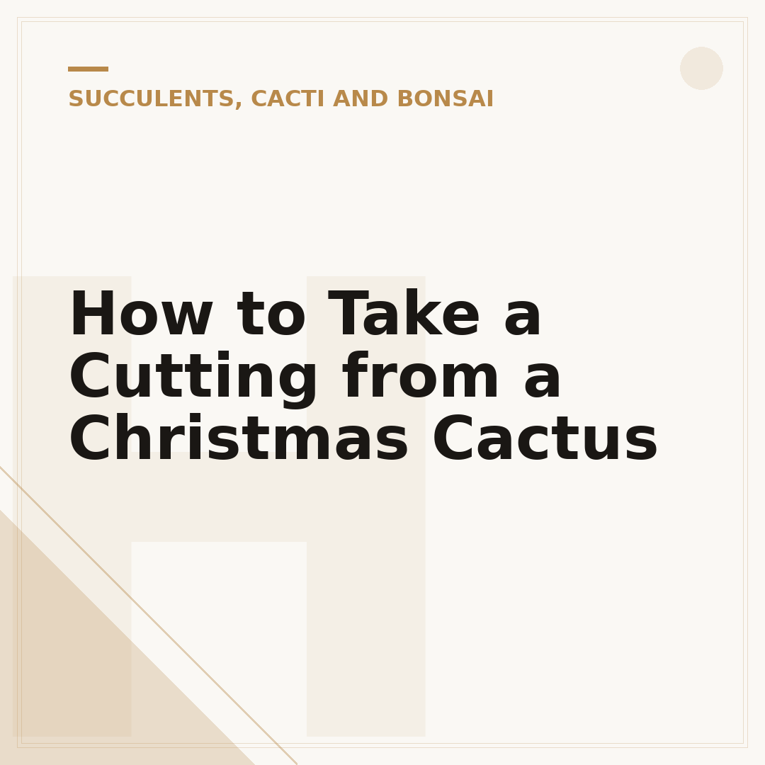 How to Take a Cutting from a Christmas Cactus