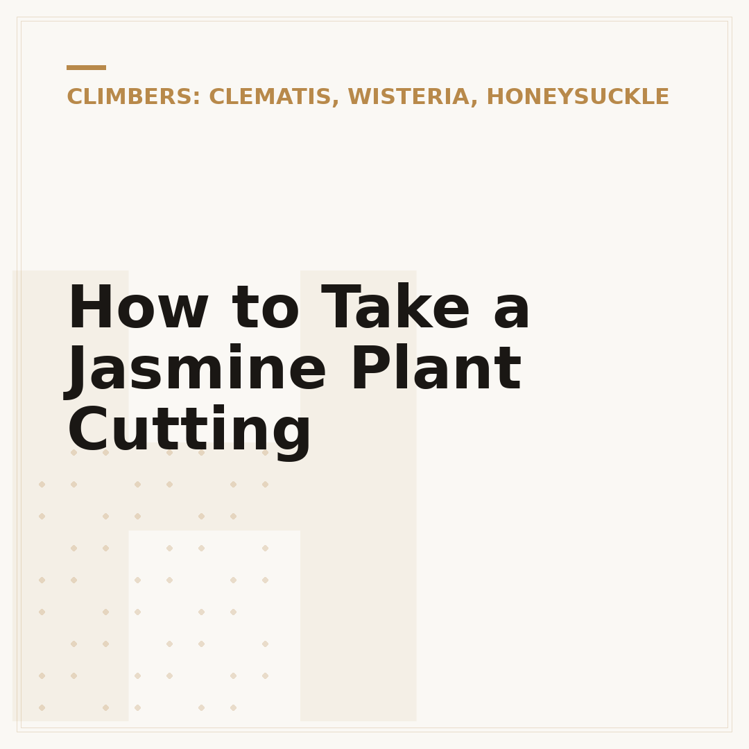 How to Take a Jasmine Plant Cutting