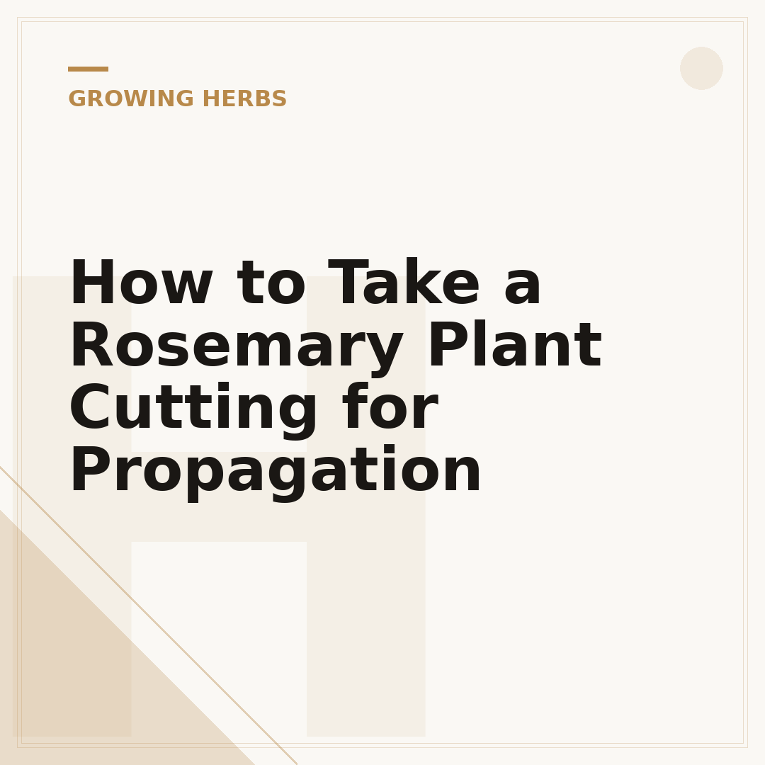 How to Take a Rosemary Plant Cutting for Propagation