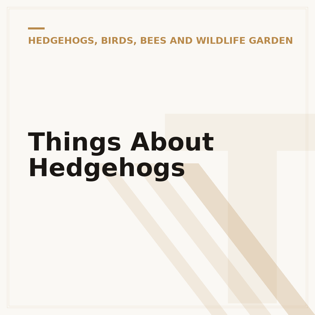 Things About Hedgehogs