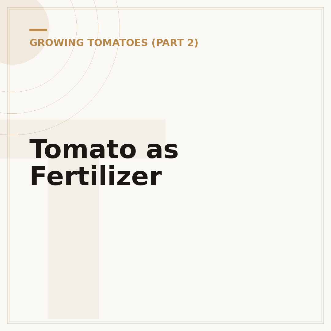 Tomato as Fertilizer