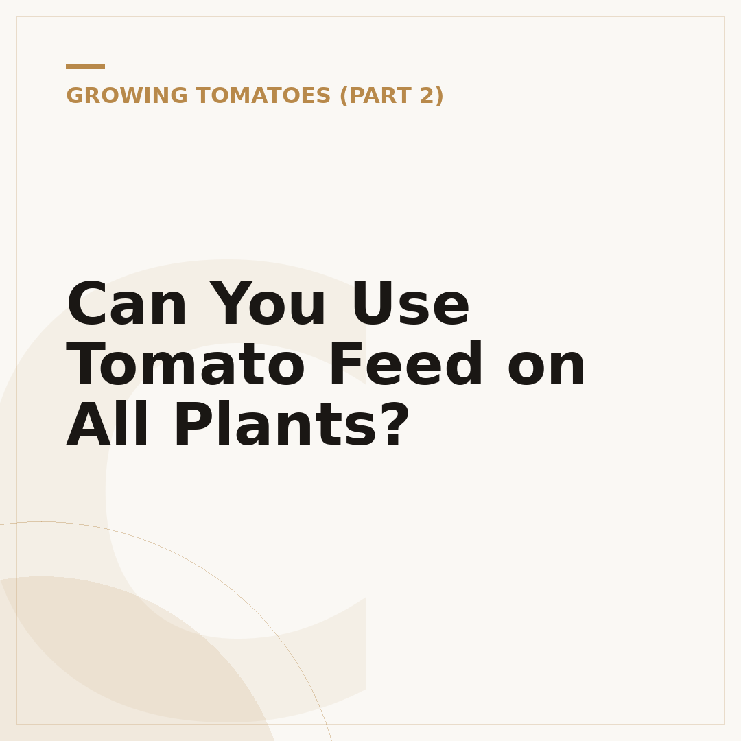 Can You Use Tomato Feed on All Plants?