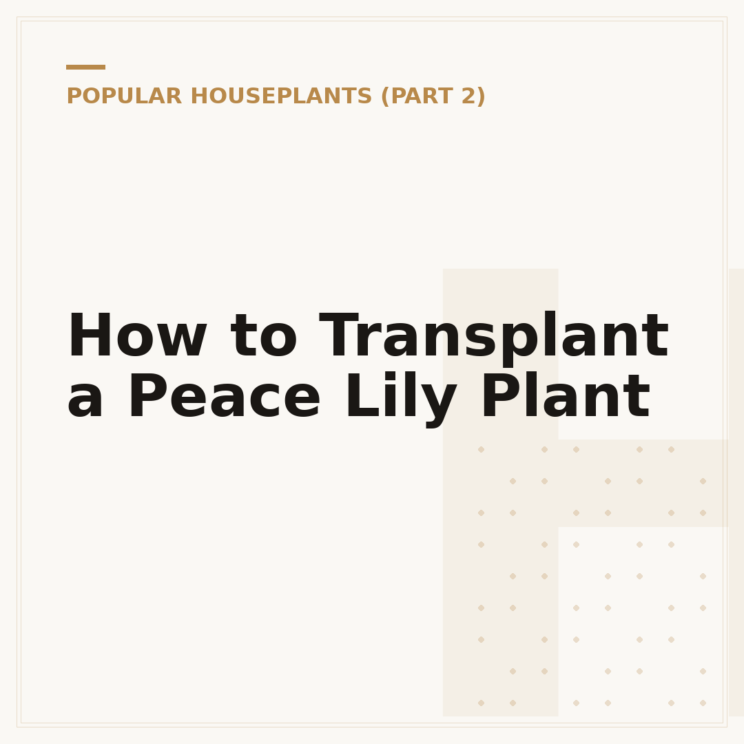 How to Transplant a Peace Lily Plant