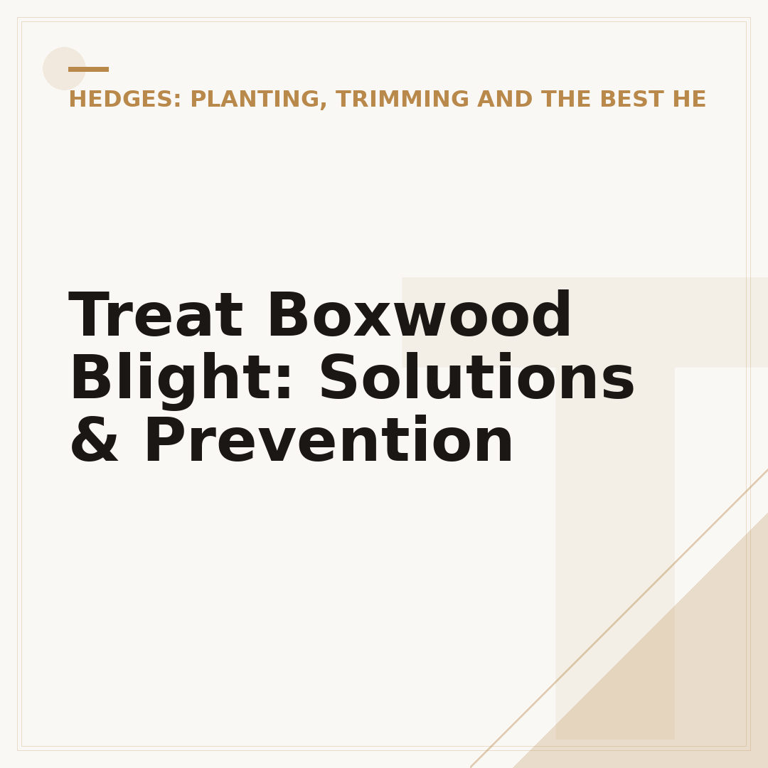 Treat Boxwood Blight: Solutions & Prevention