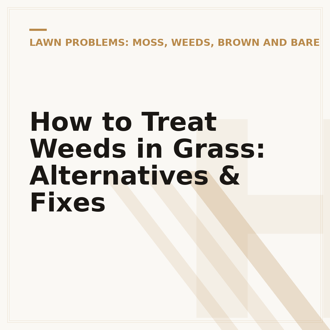 How to Treat Weeds in Grass: Alternatives & Fixes