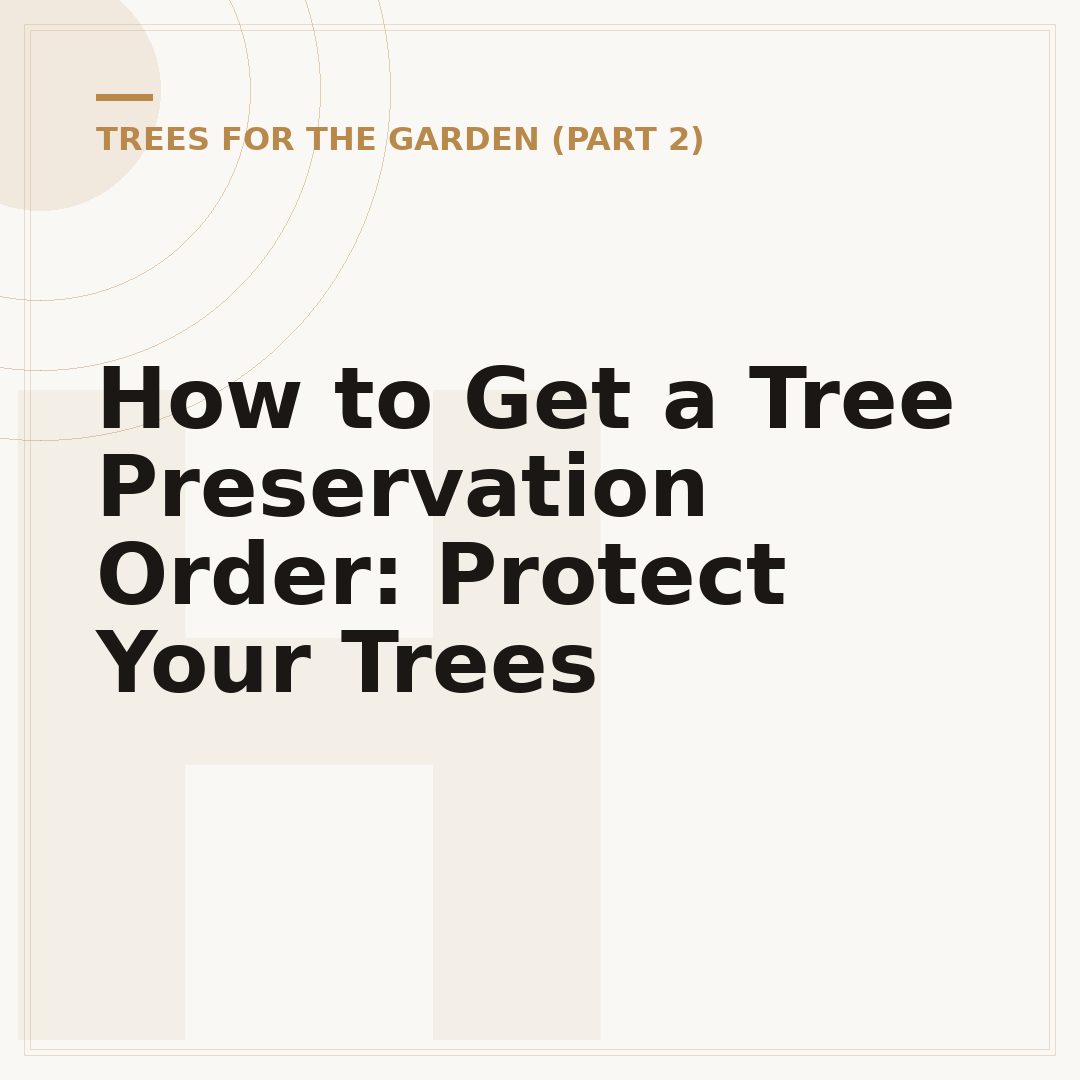 How to Get a Tree Preservation Order: Protect Your Trees