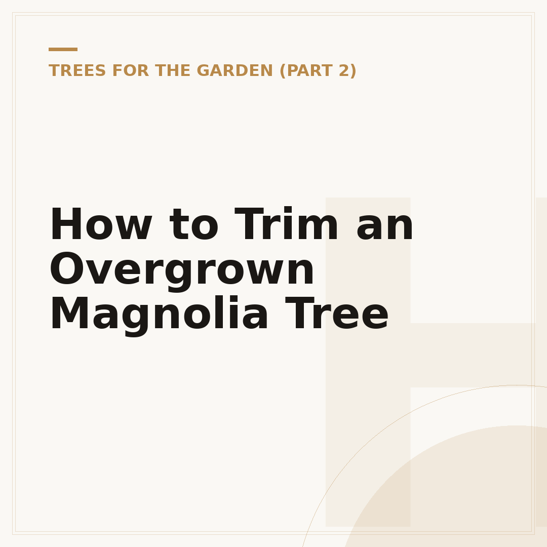 How to Trim an Overgrown Magnolia Tree