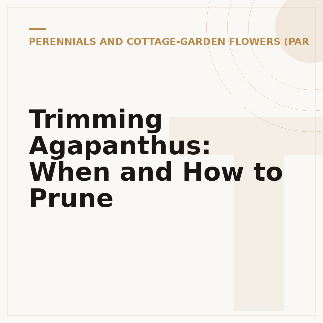 Trimming Agapanthus: When and How to Prune