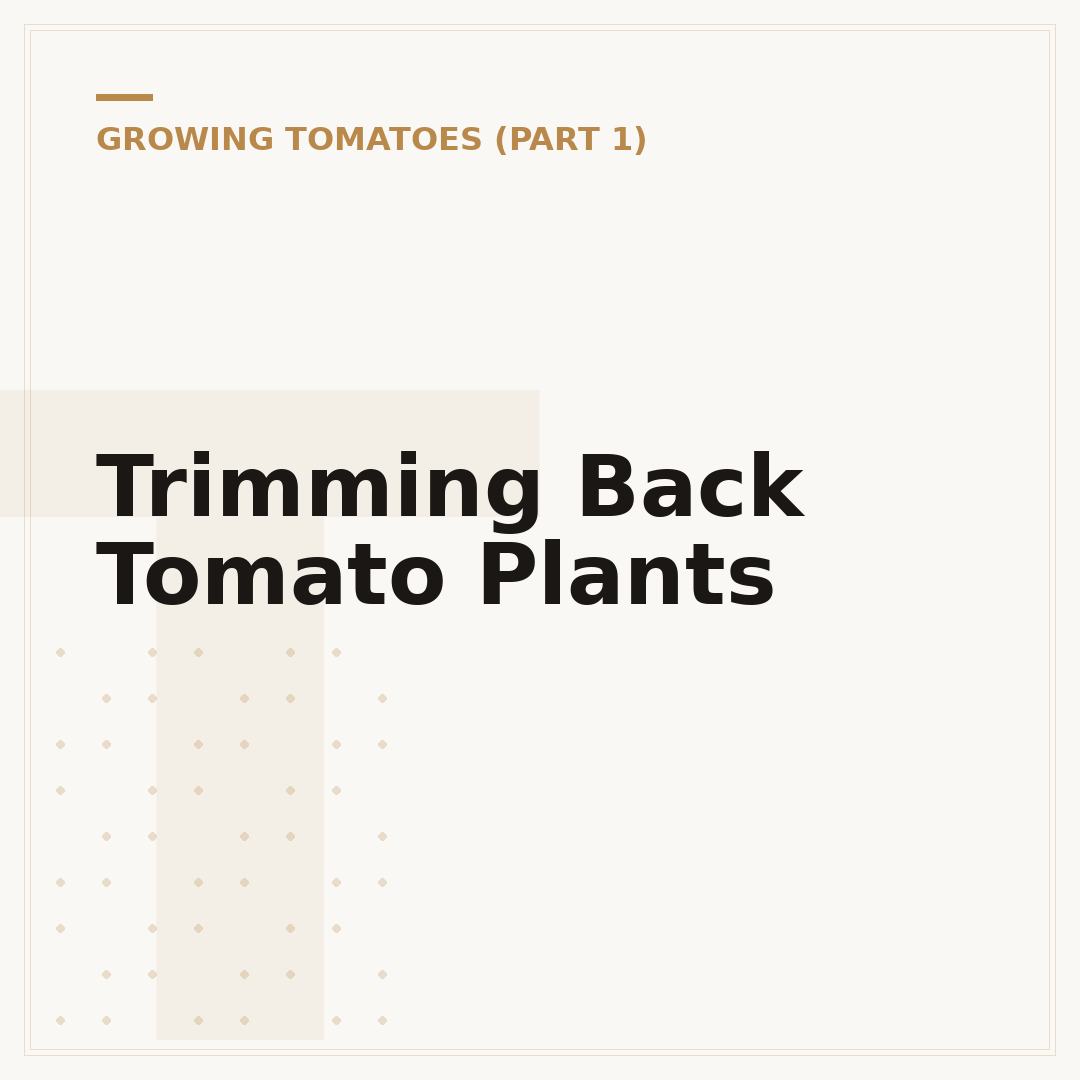 Trimming Back Tomato Plants