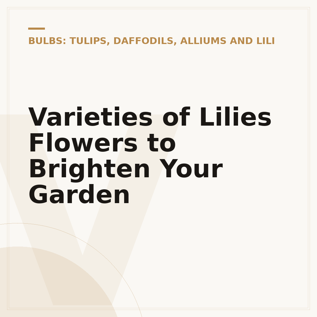 Varieties of Lilies Flowers to Brighten Your Garden