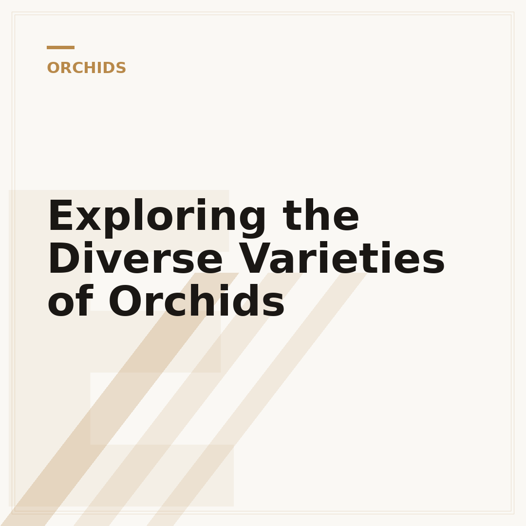 Exploring the Diverse Varieties of Orchids