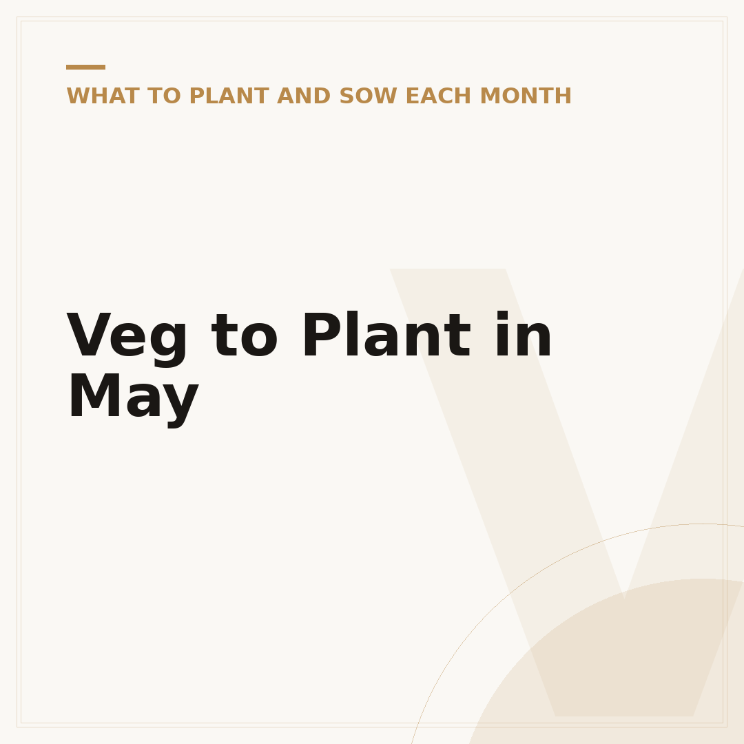 Veg to Plant in May