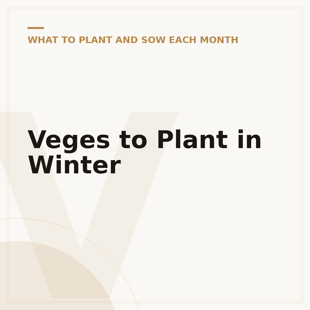 Veges to Plant in Winter
