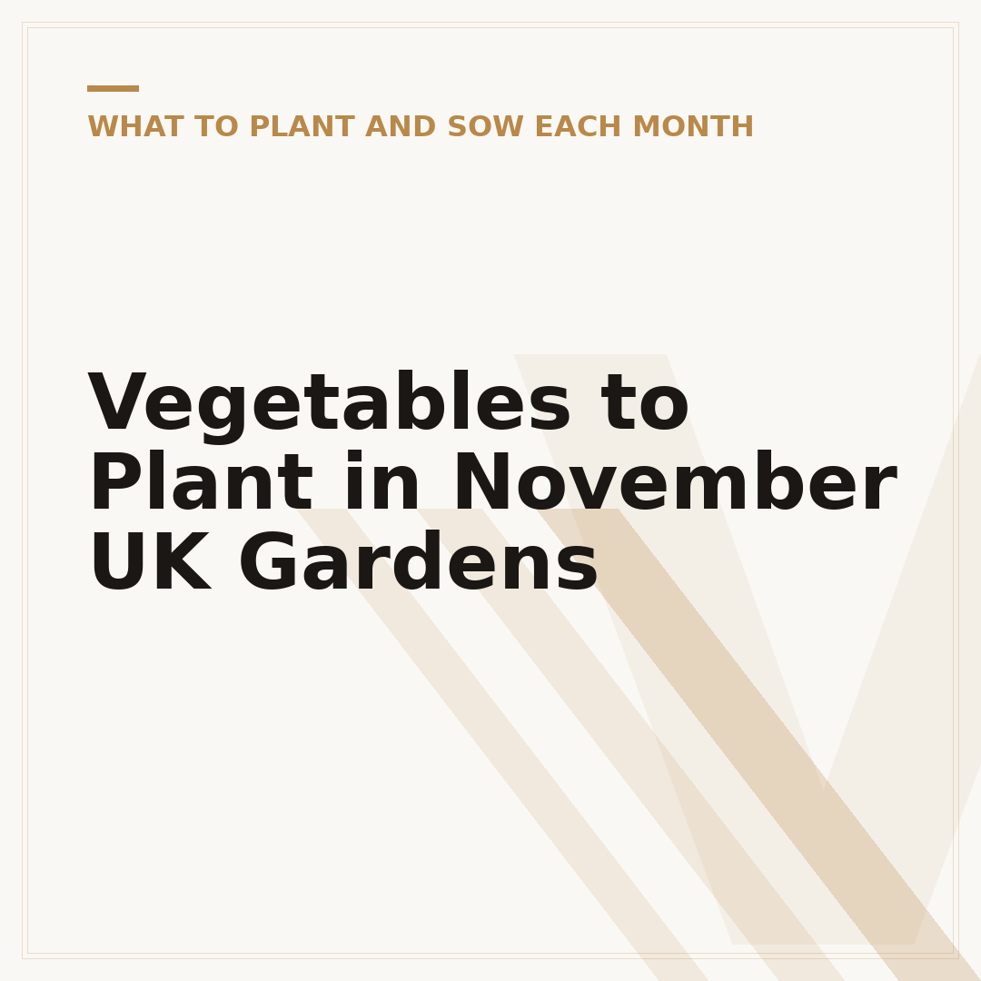Vegetables to Plant in November UK Gardens