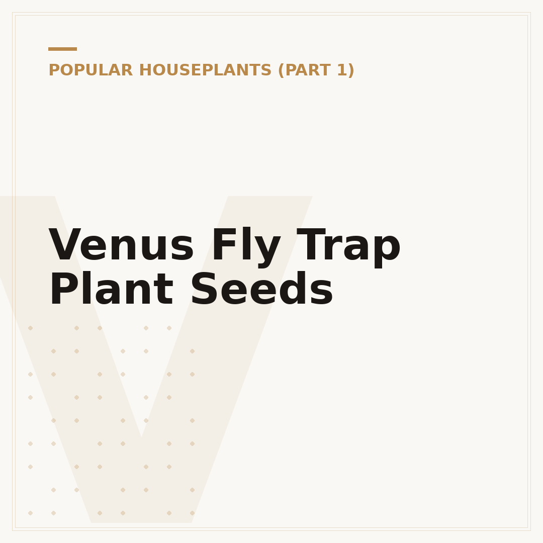 Venus Fly Trap Plant Seeds
