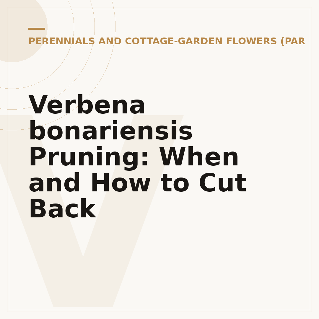 Verbena bonariensis Pruning: When and How to Cut Back