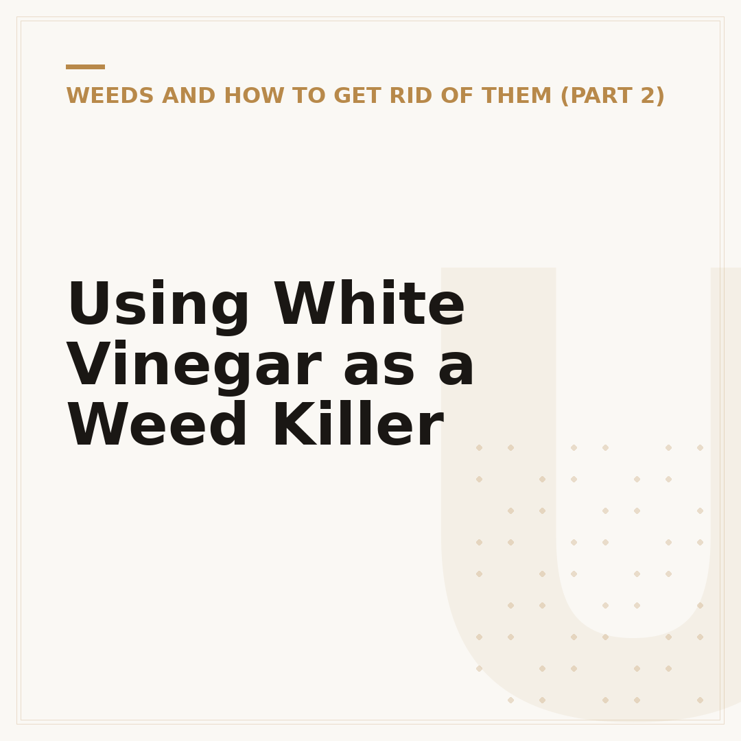 Using White Vinegar as a Weed Killer
