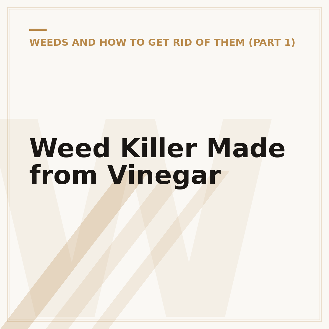 Weed Killer Made from Vinegar