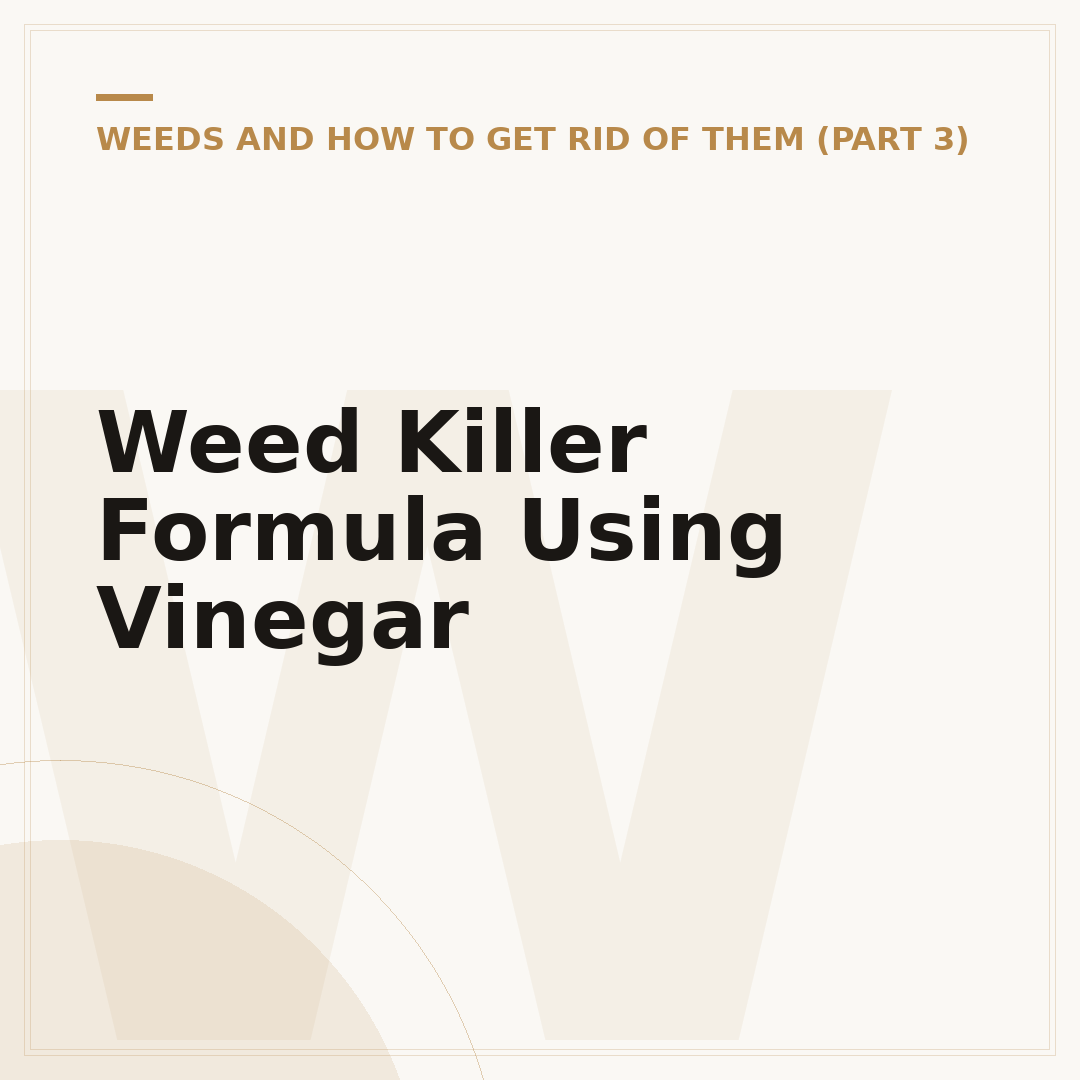Weed Killer Formula Using Vinegar