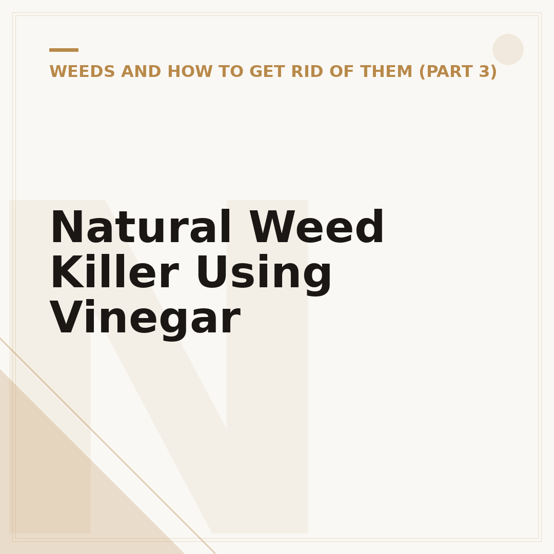 Natural Weed Killer Using Vinegar