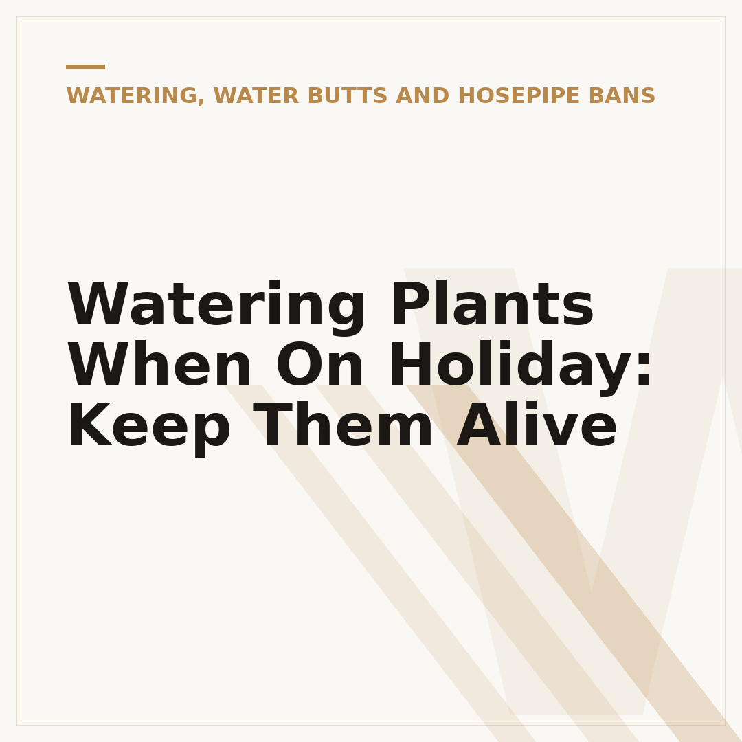 Watering Plants When On Holiday: Keep Them Alive