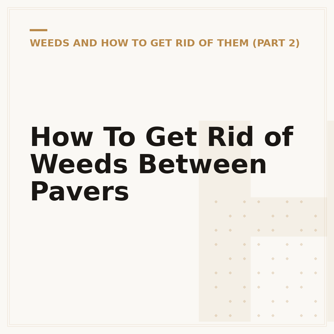 How To Get Rid of Weeds Between Pavers
