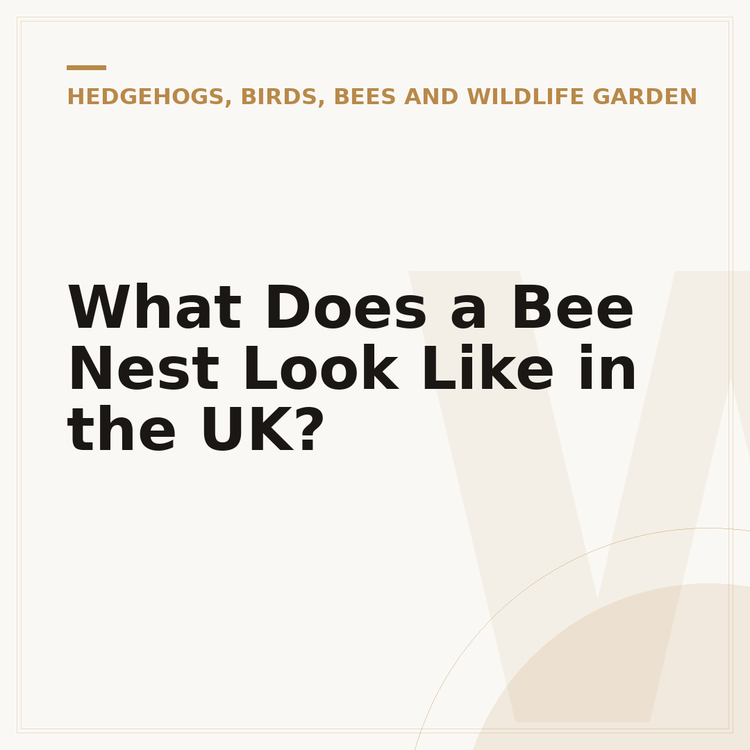 What Does a Bee Nest Look Like in the UK?