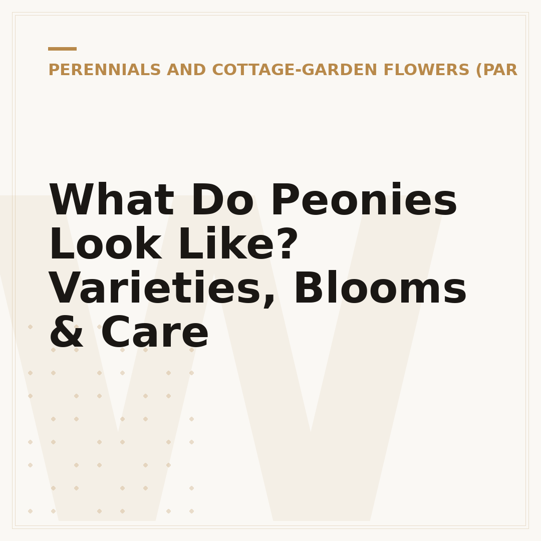 What Do Peonies Look Like? Varieties, Blooms & Care