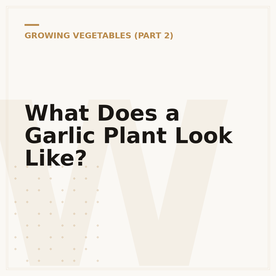 What Does a Garlic Plant Look Like?