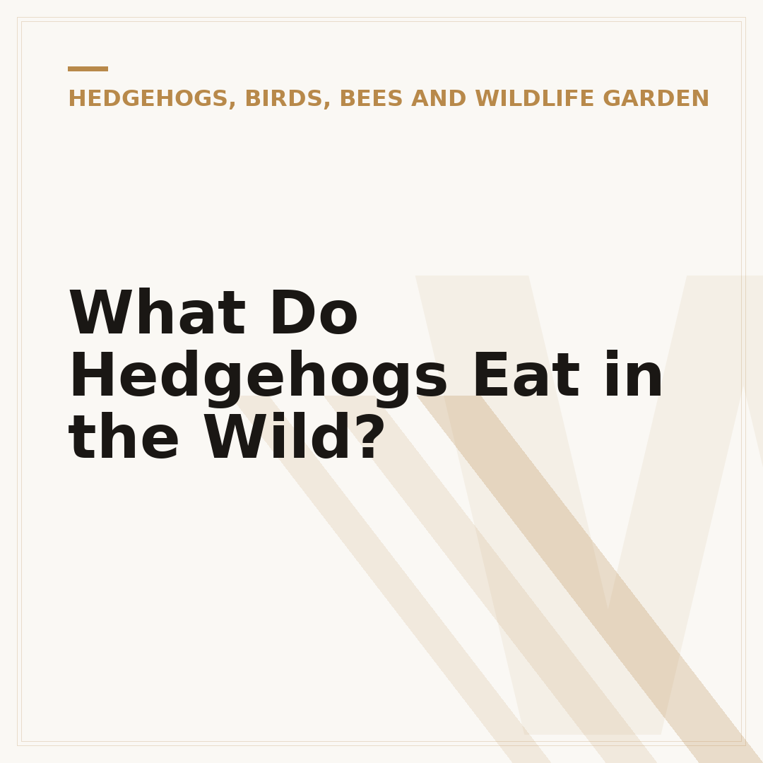 What Do Hedgehogs Eat in the Wild?