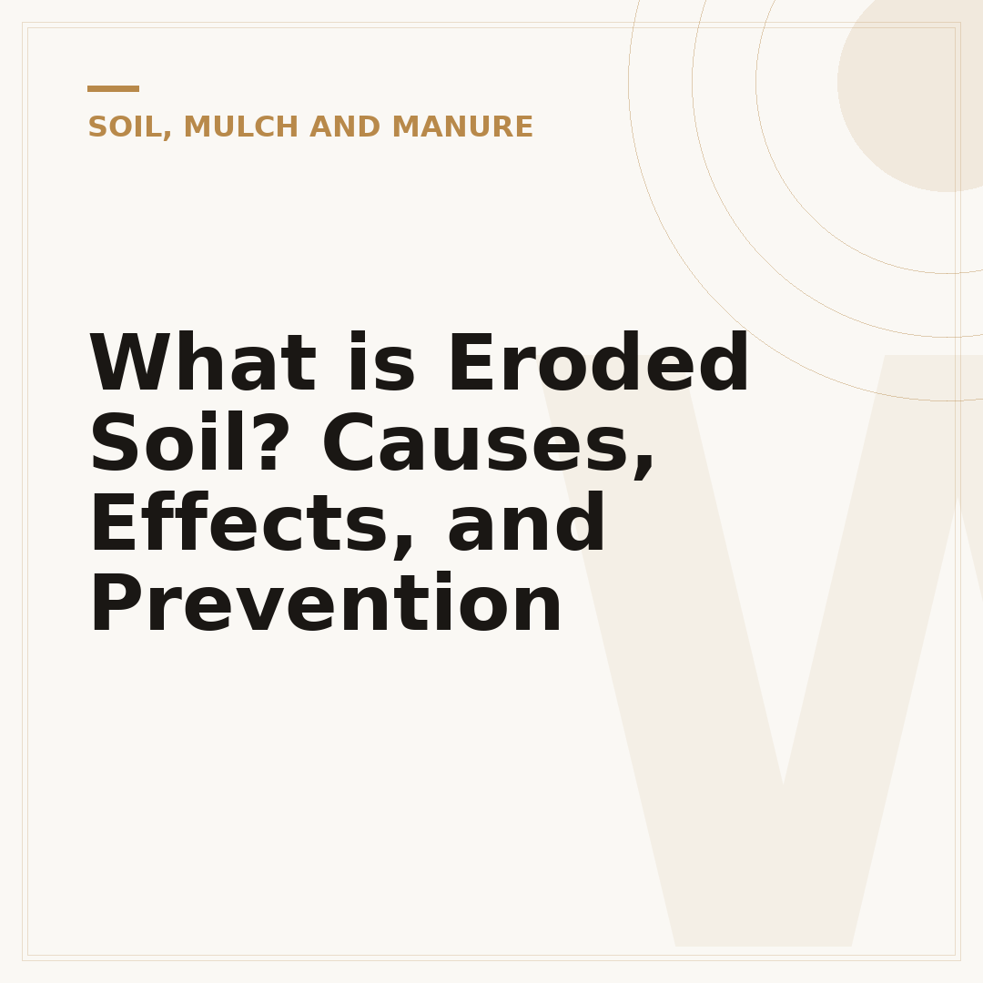 What is Eroded Soil? Causes, Effects, and Prevention