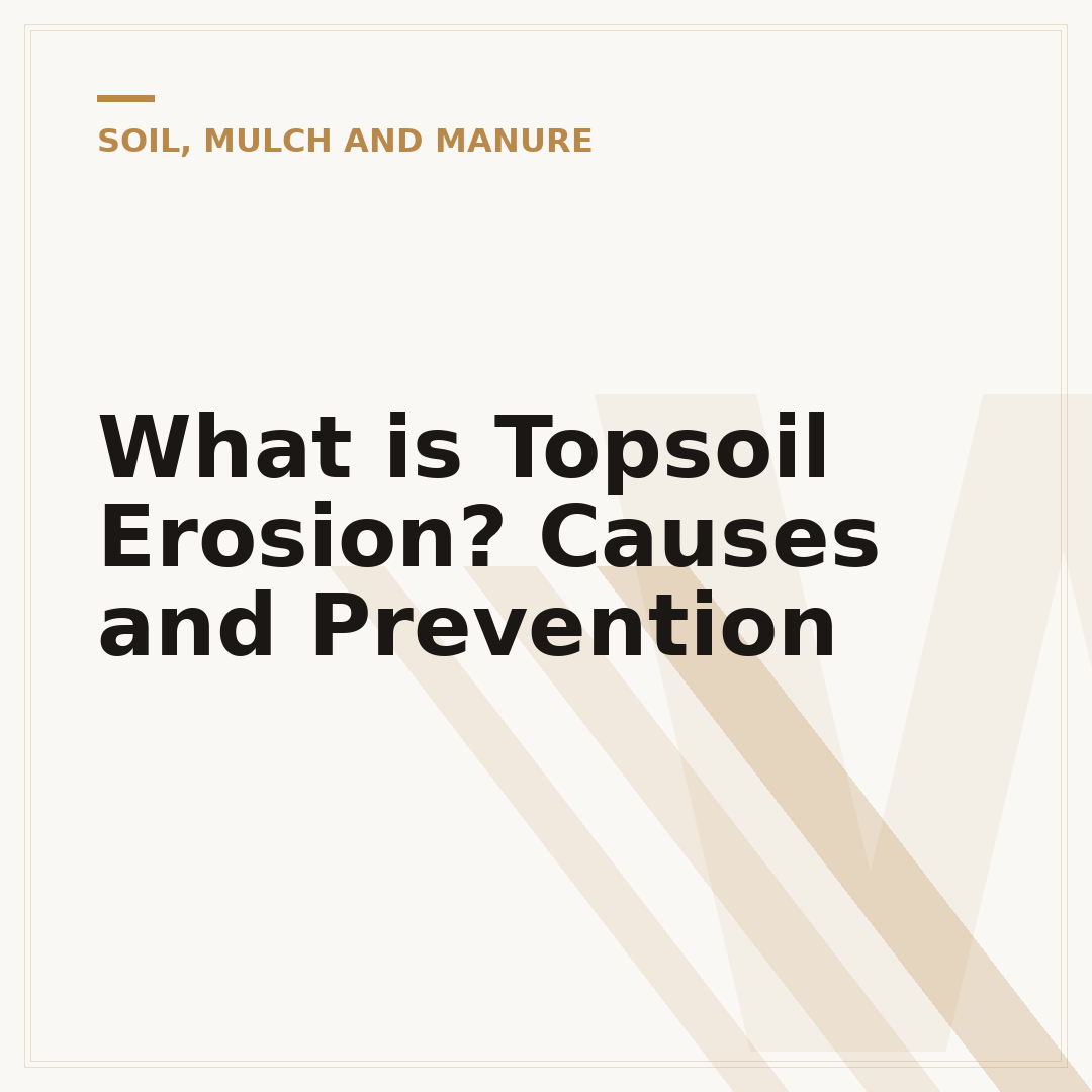 What is Topsoil Erosion? Causes and Prevention