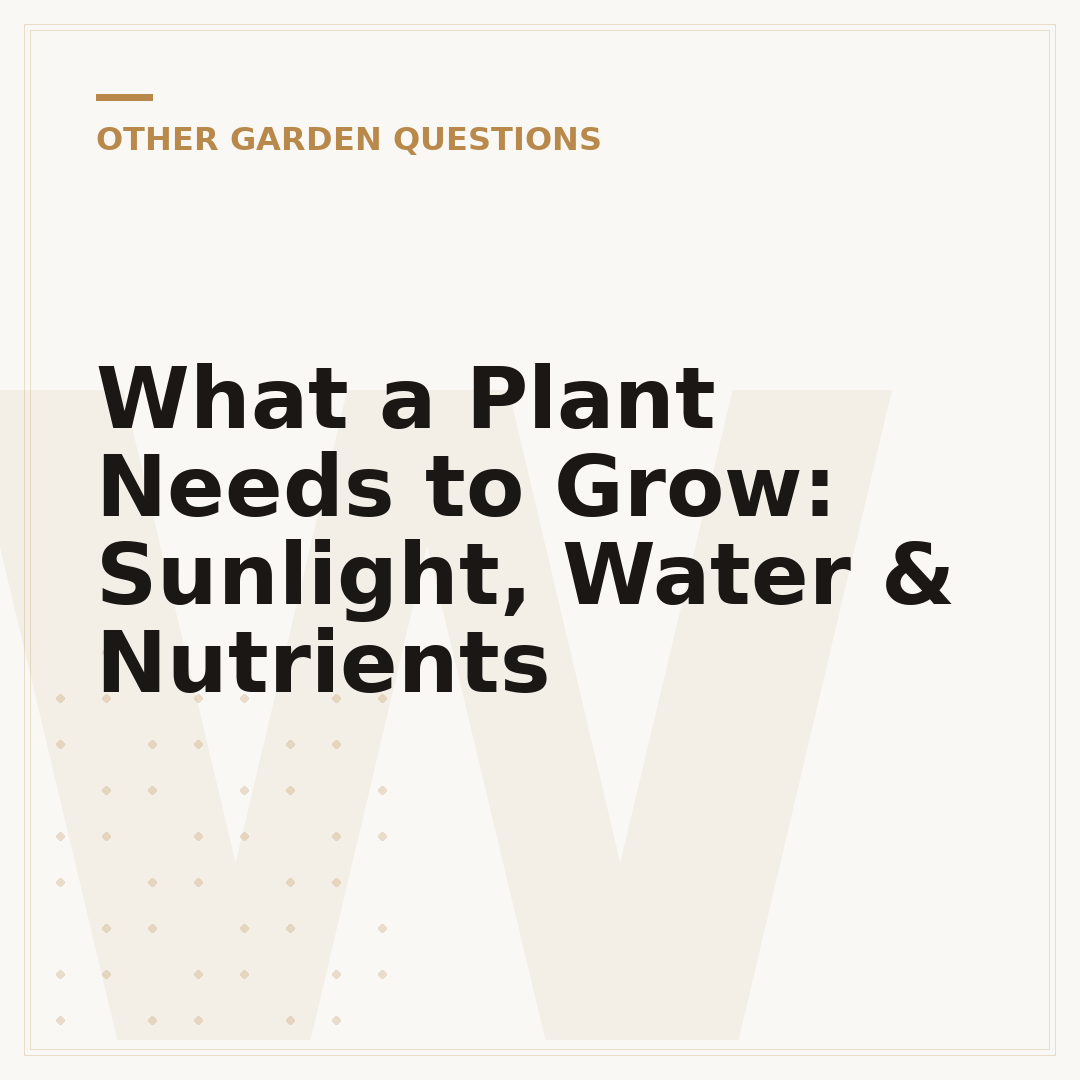 What a Plant Needs to Grow: Sunlight, Water & Nutrients