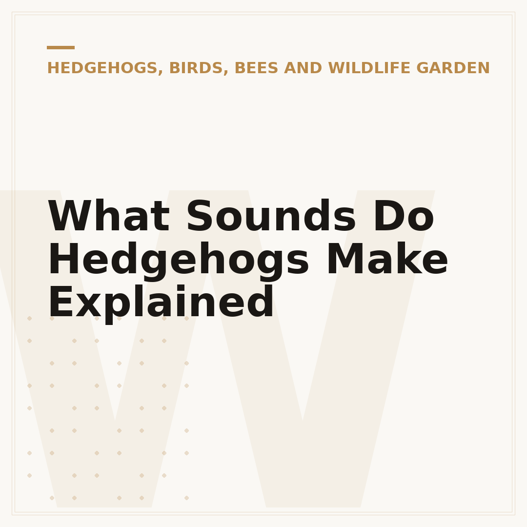 What Sounds Do Hedgehogs Make Explained