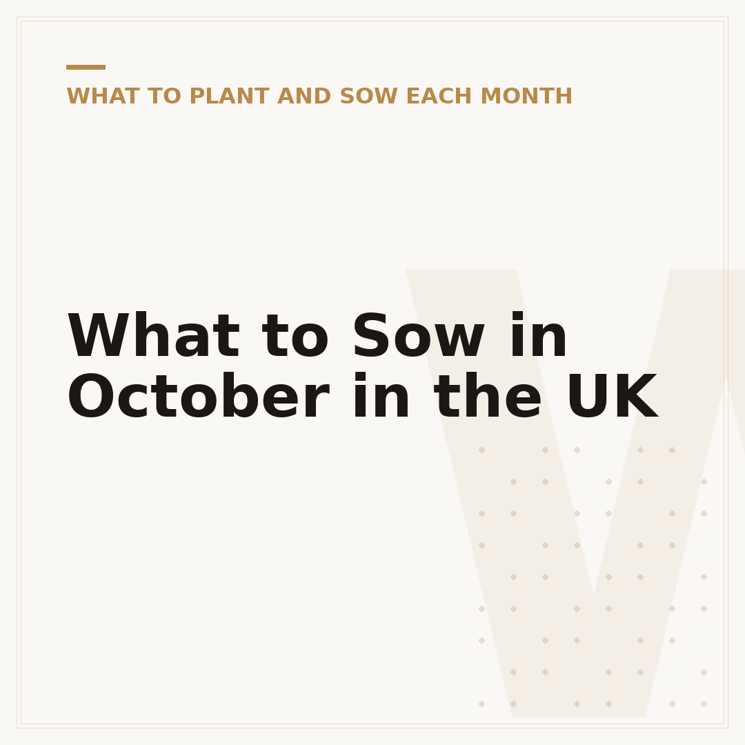 What to Sow in October in the UK