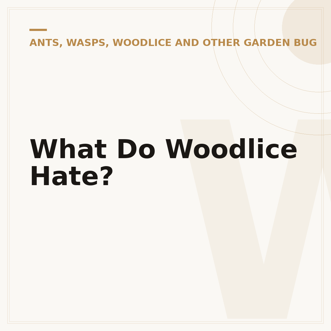 What Do Woodlice Hate?