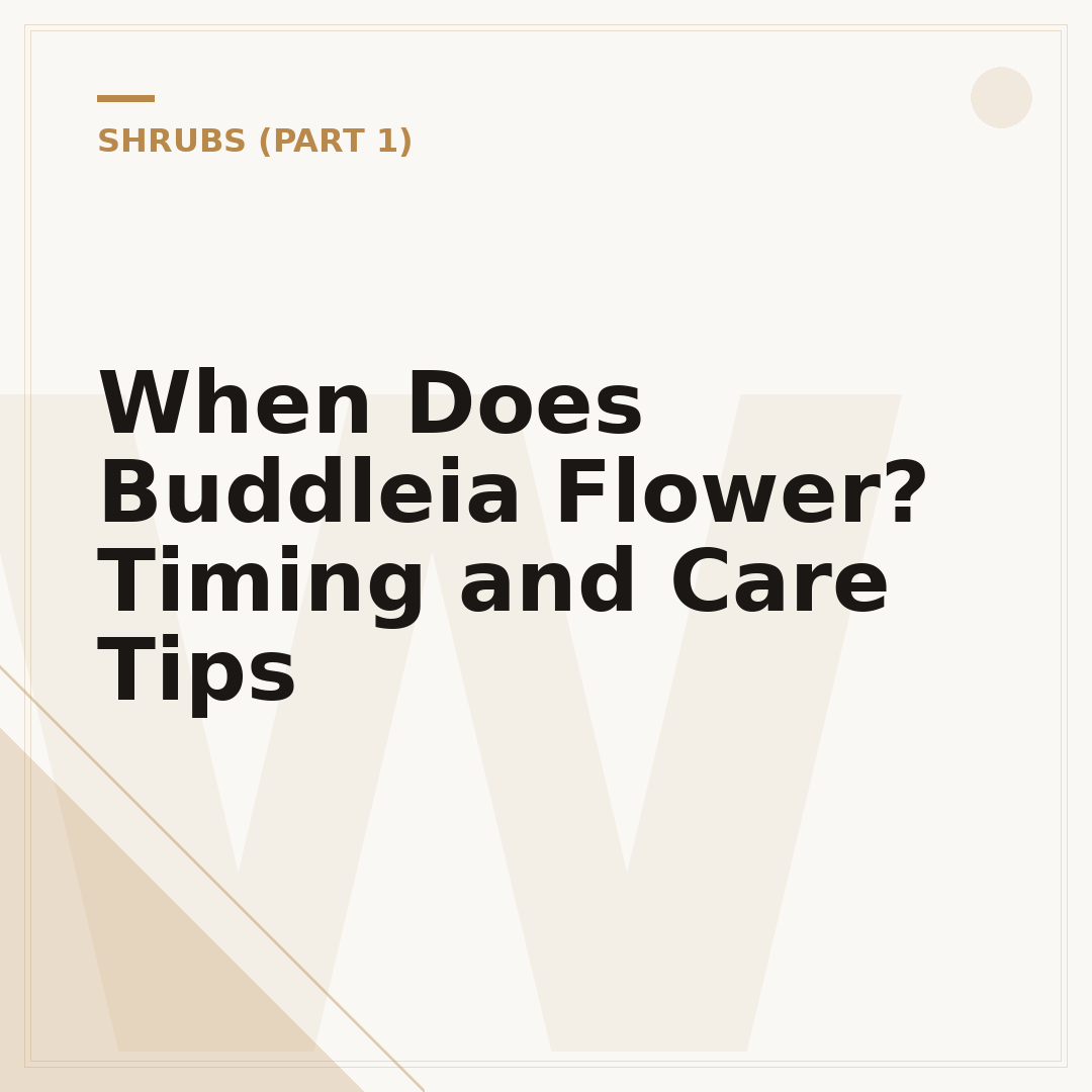 When Does Buddleia Flower? Timing and Care Tips