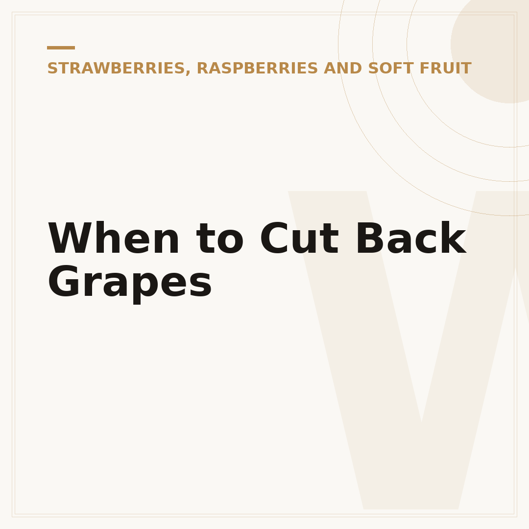 When to Cut Back Grapes