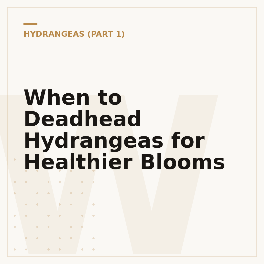 When to Deadhead Hydrangeas for Healthier Blooms