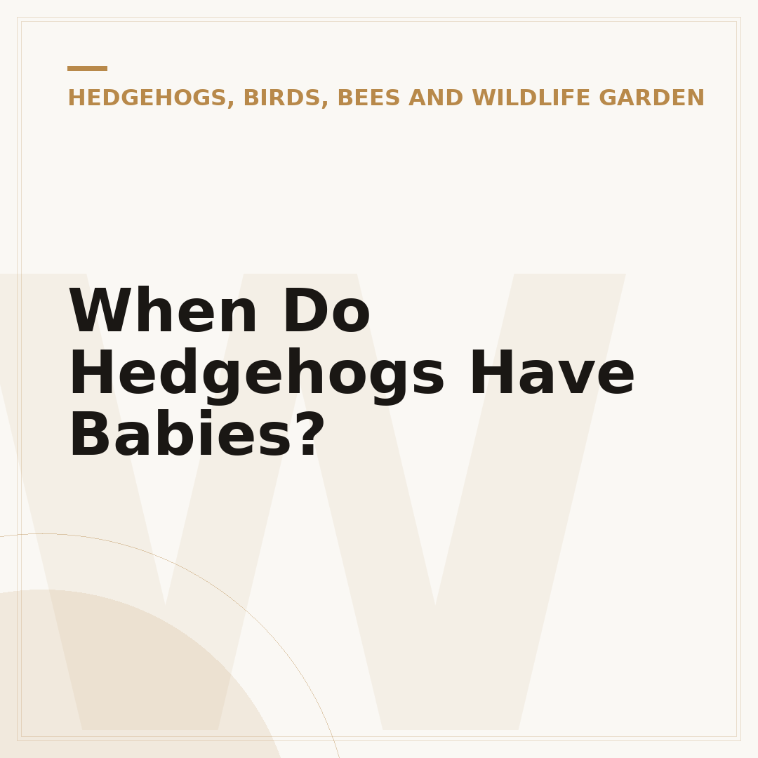 When Do Hedgehogs Have Babies?