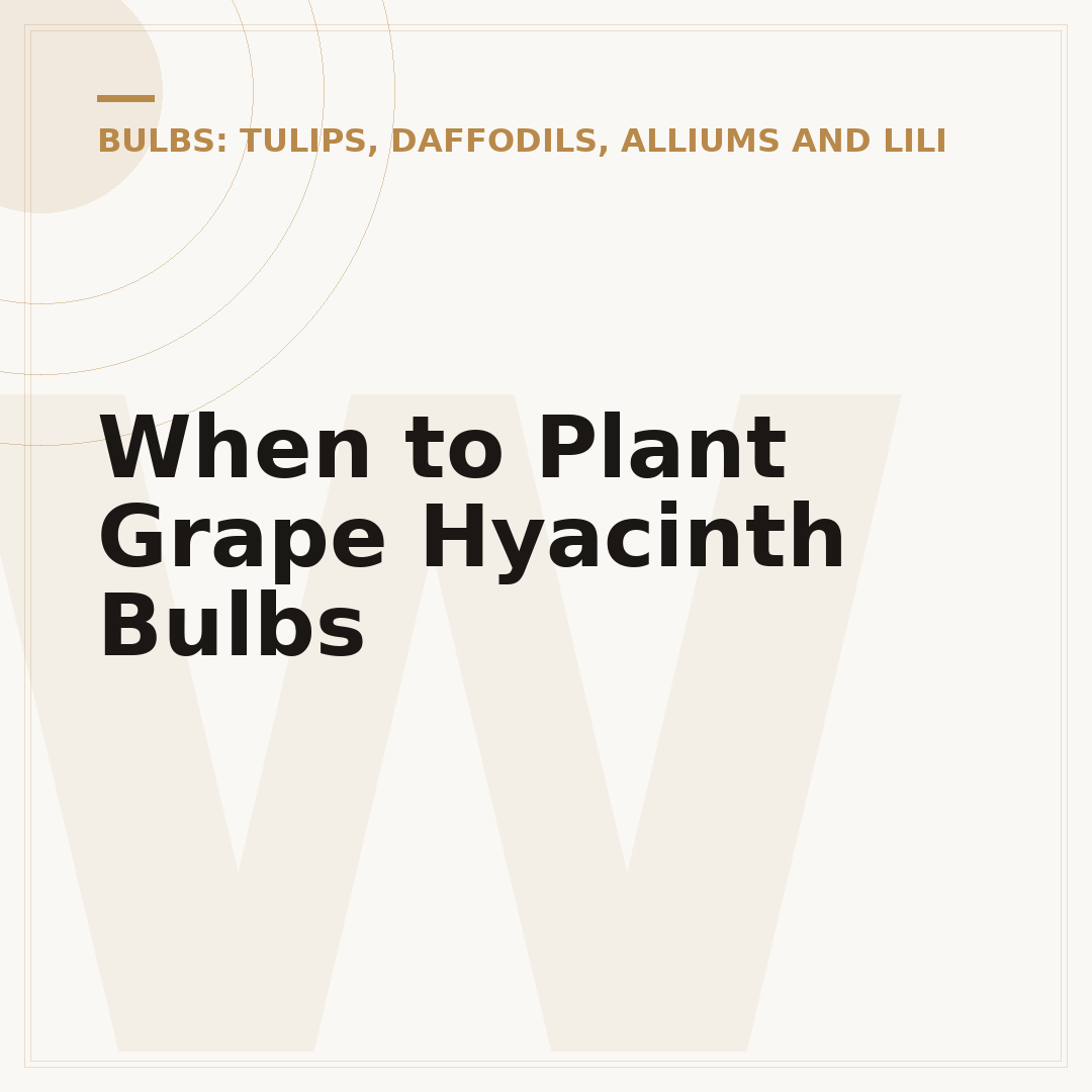 When to Plant Grape Hyacinth Bulbs