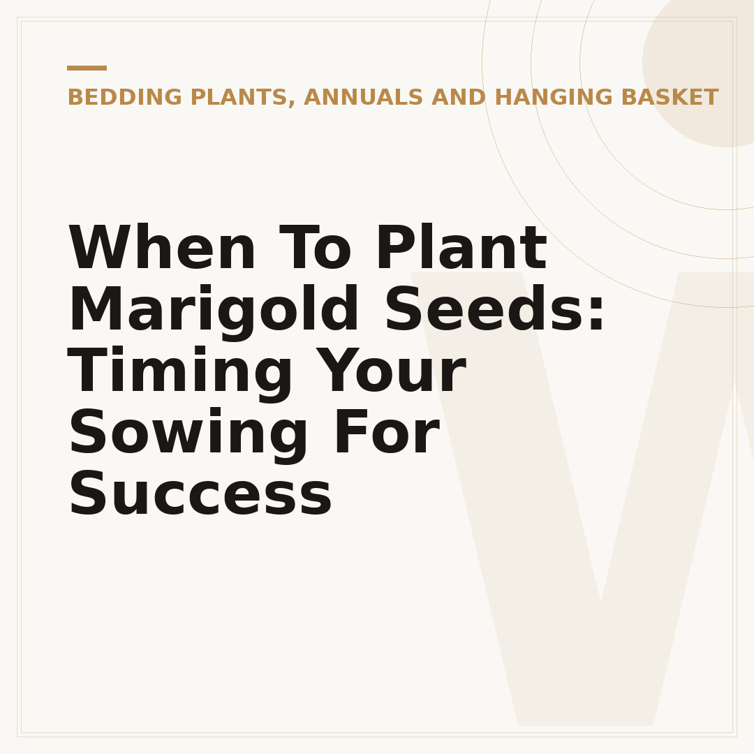 When To Plant Marigold Seeds: Timing Your Sowing For Success